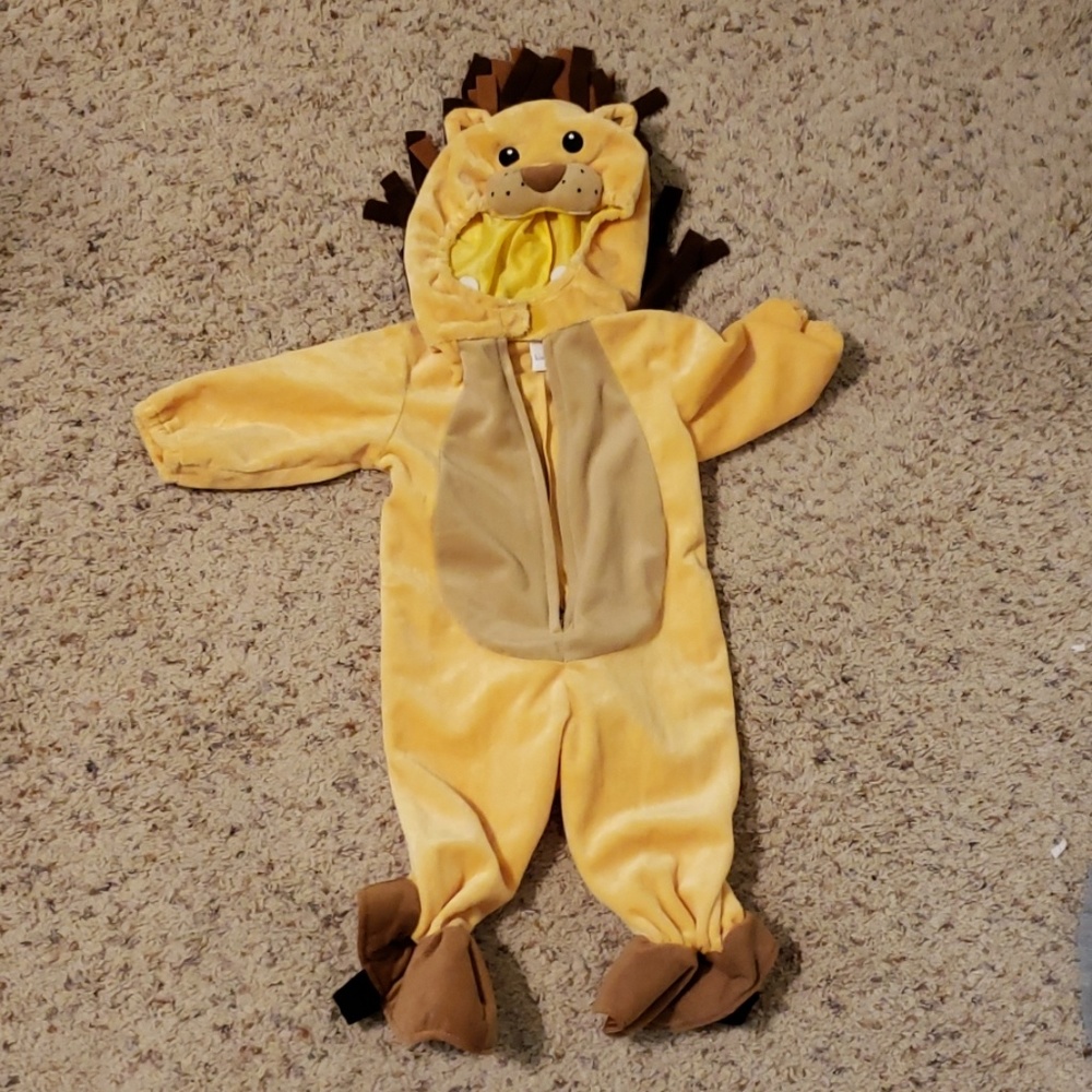 Baby Lion Costume